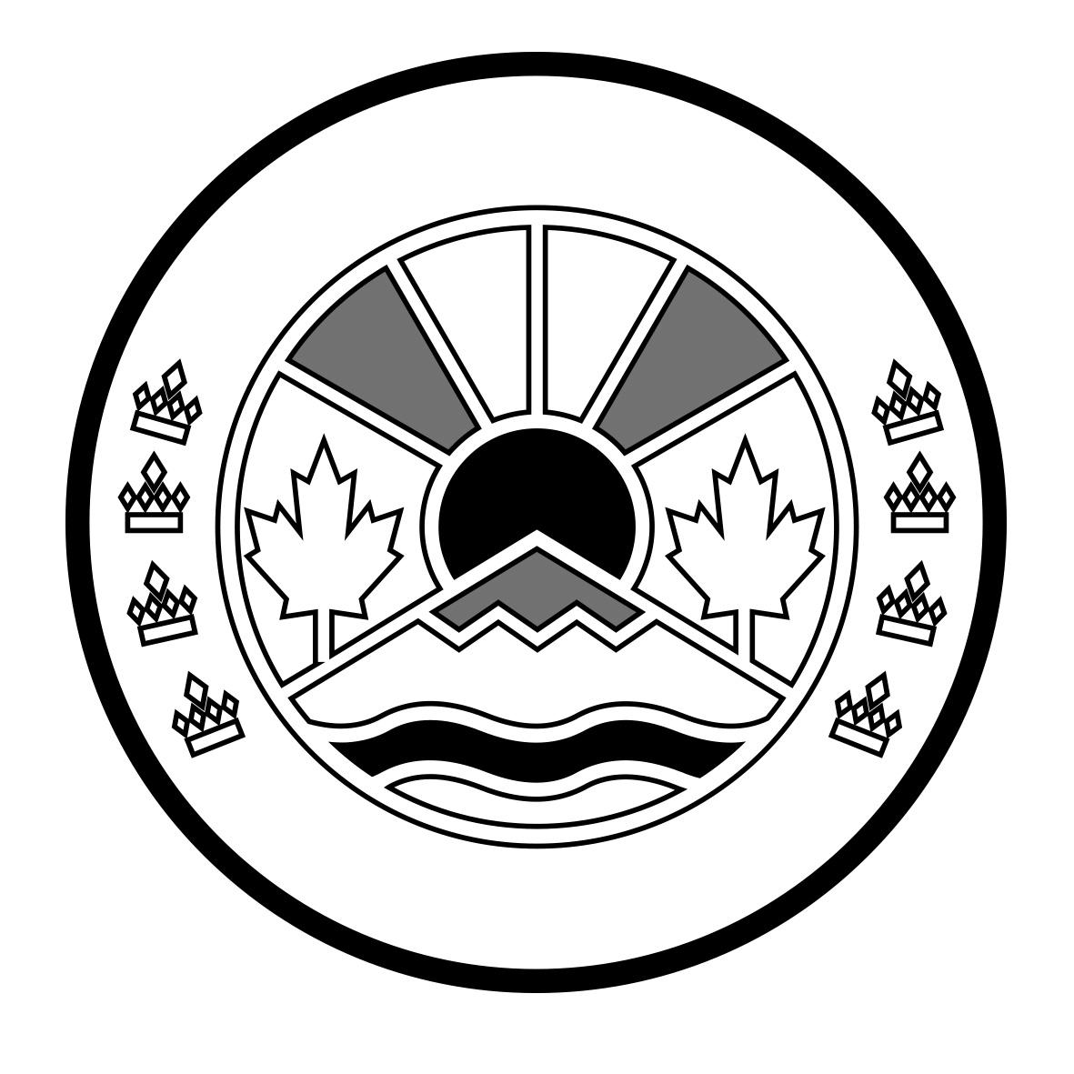 图形