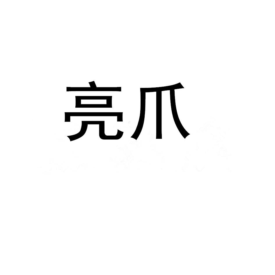 亮爪