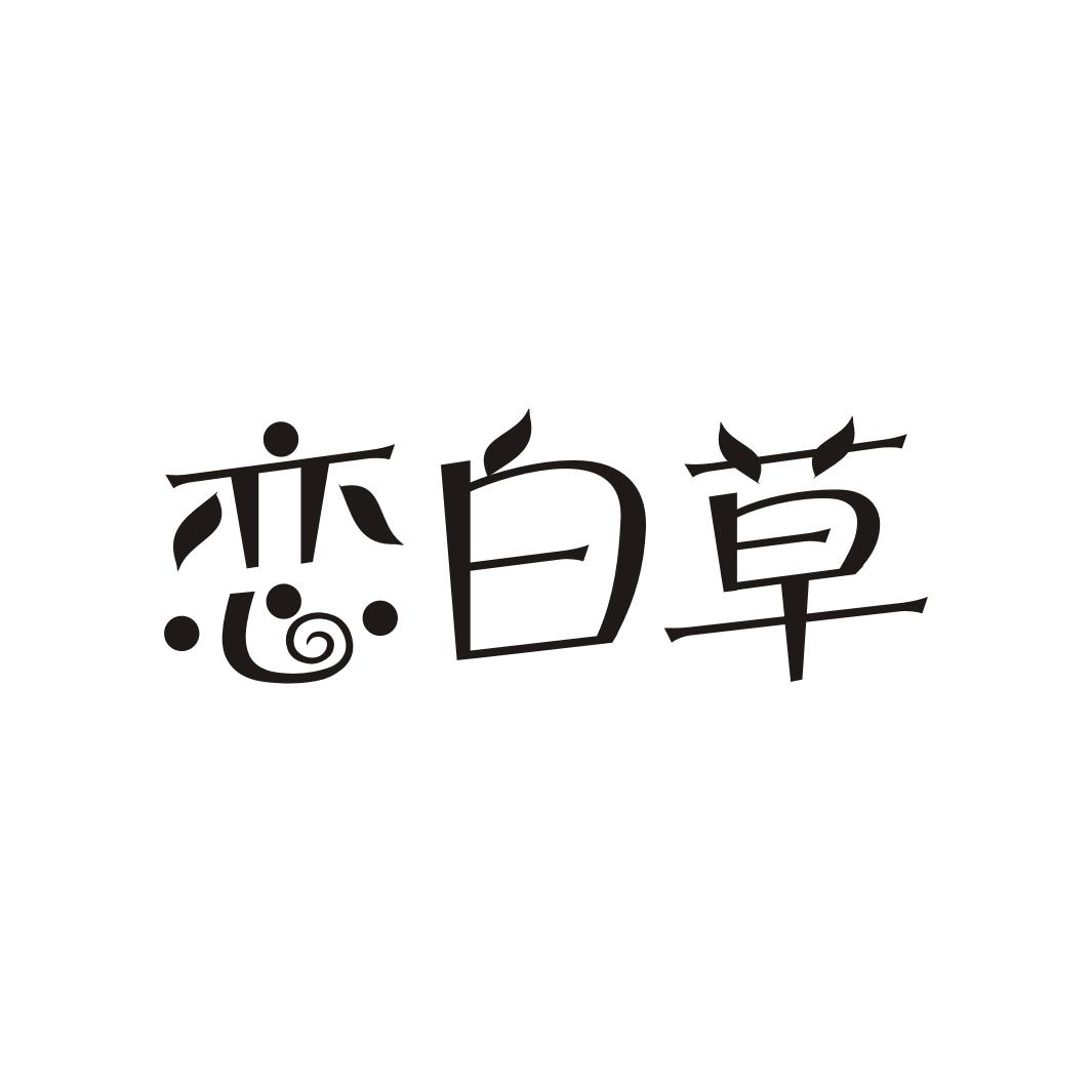 恋白草