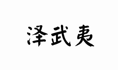 泽武夷
