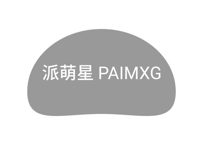 派萌星PAIMXG