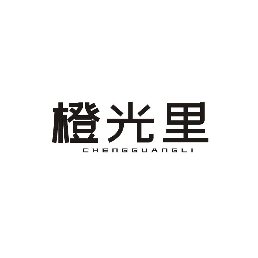 橙光里