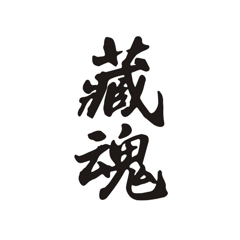 藏魂