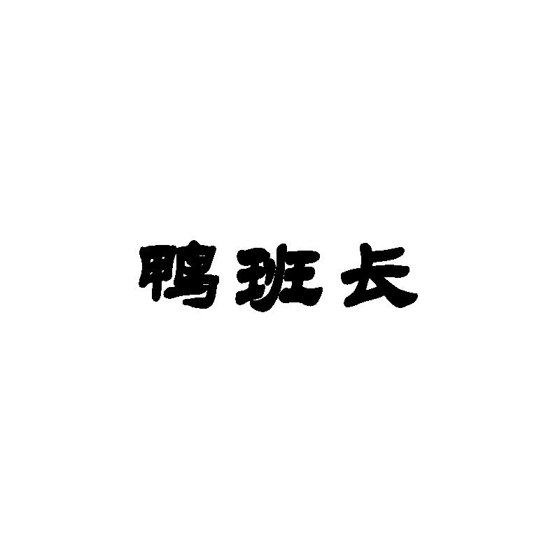 鸭班长