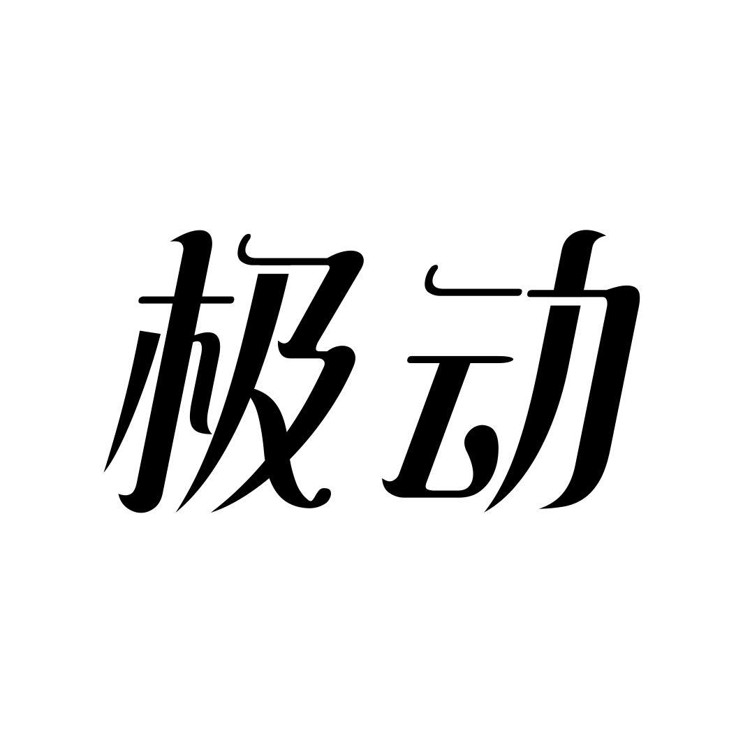 极动