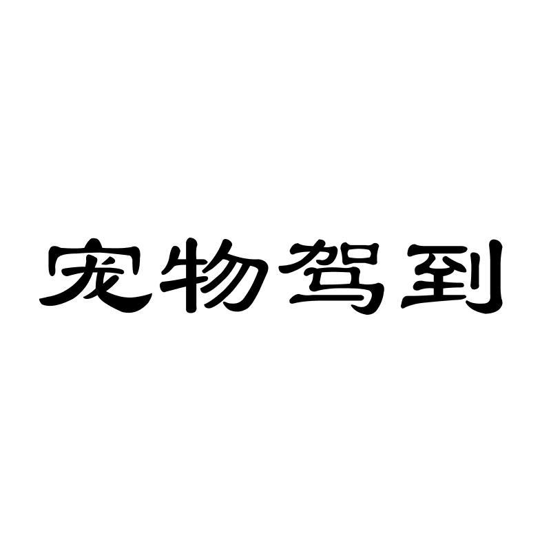 宠物驾到