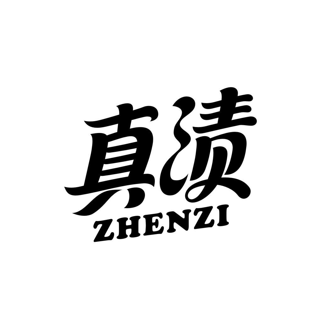 真渍ZHENZI