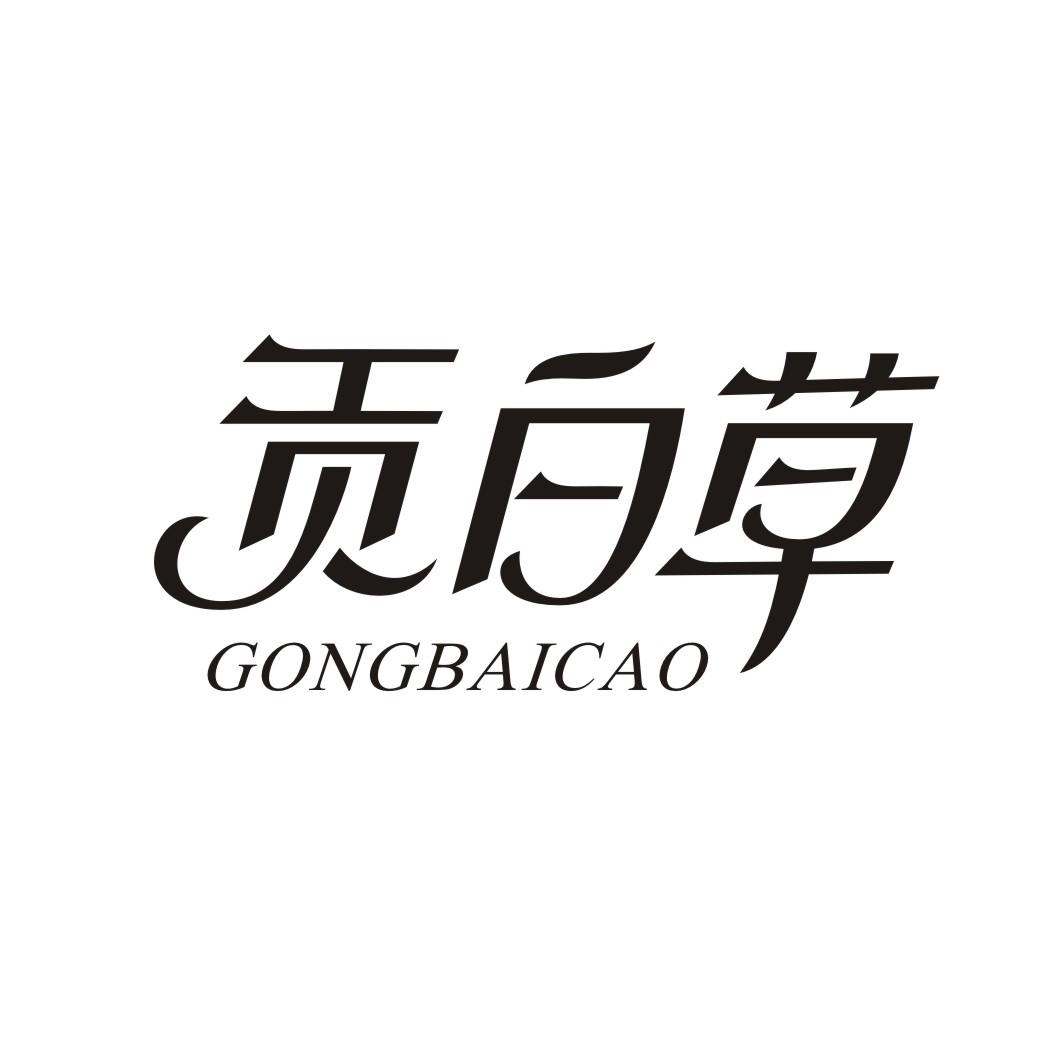 贡白草GONGBAICAO