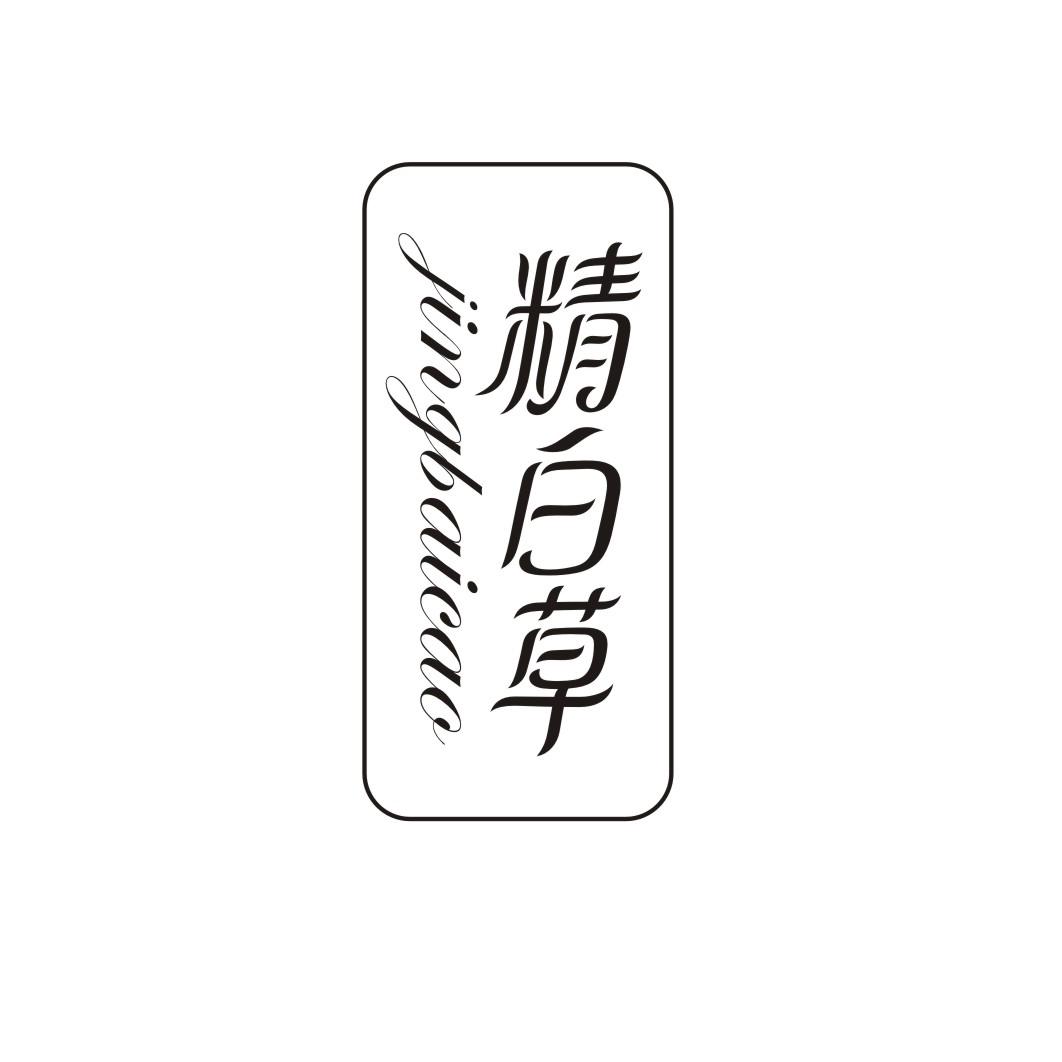 精白草JINGBAICAO
