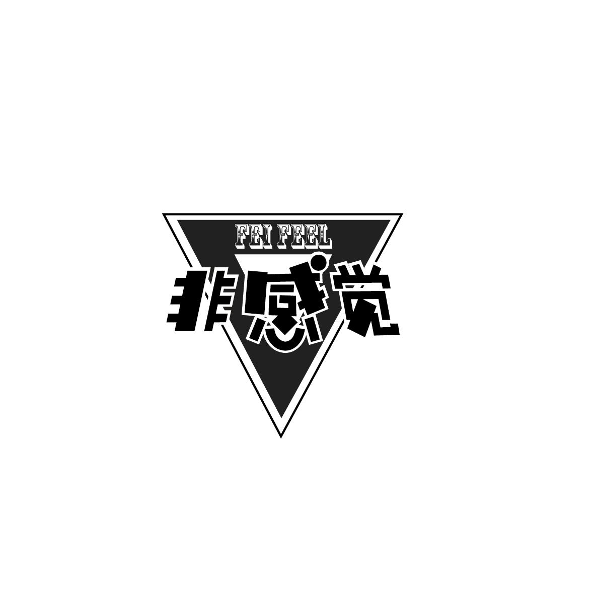 非感觉 FEI FEEL
