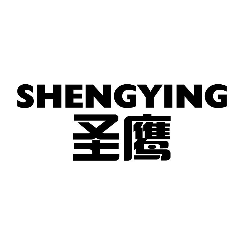 圣鹰 