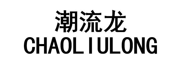 潮流龙CHAOLIULONG