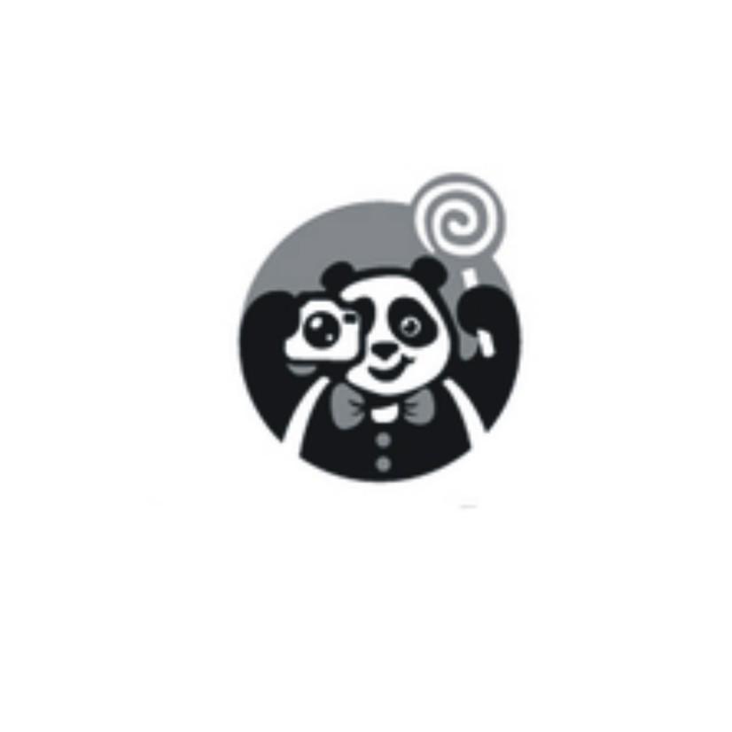拍照熊猫图形
