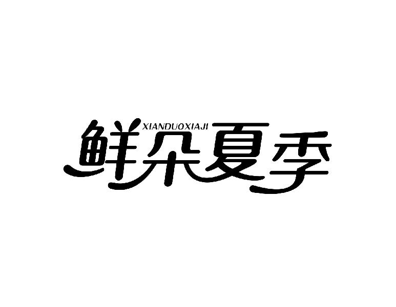 鲜朵夏季