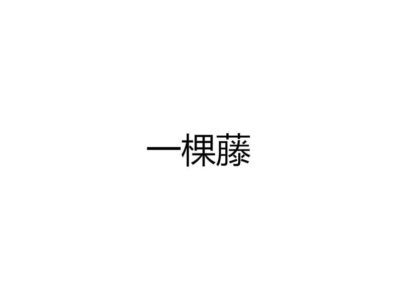 一棵藤