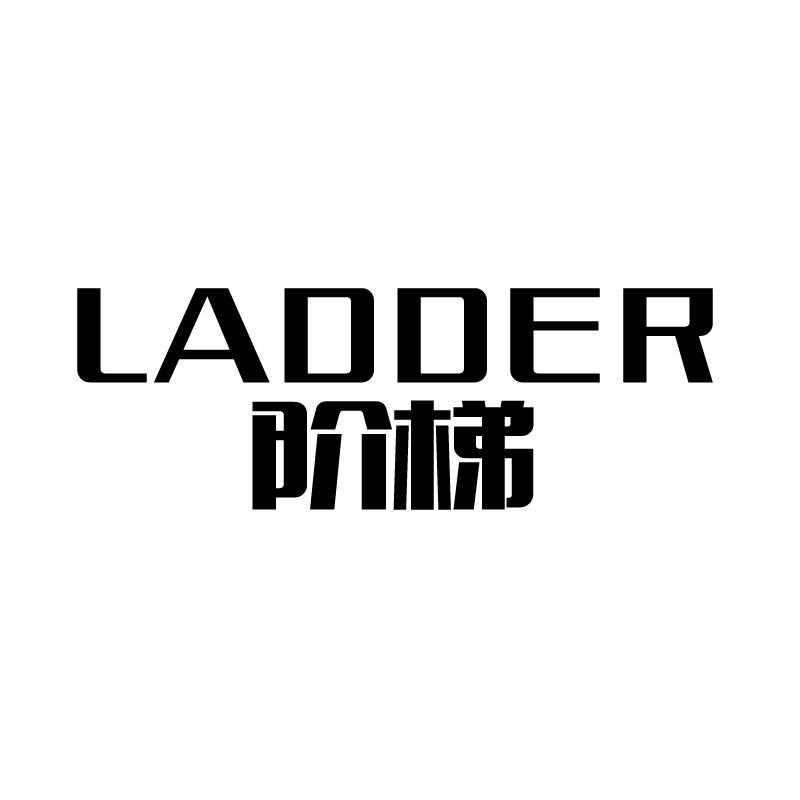 阶梯 LADDER