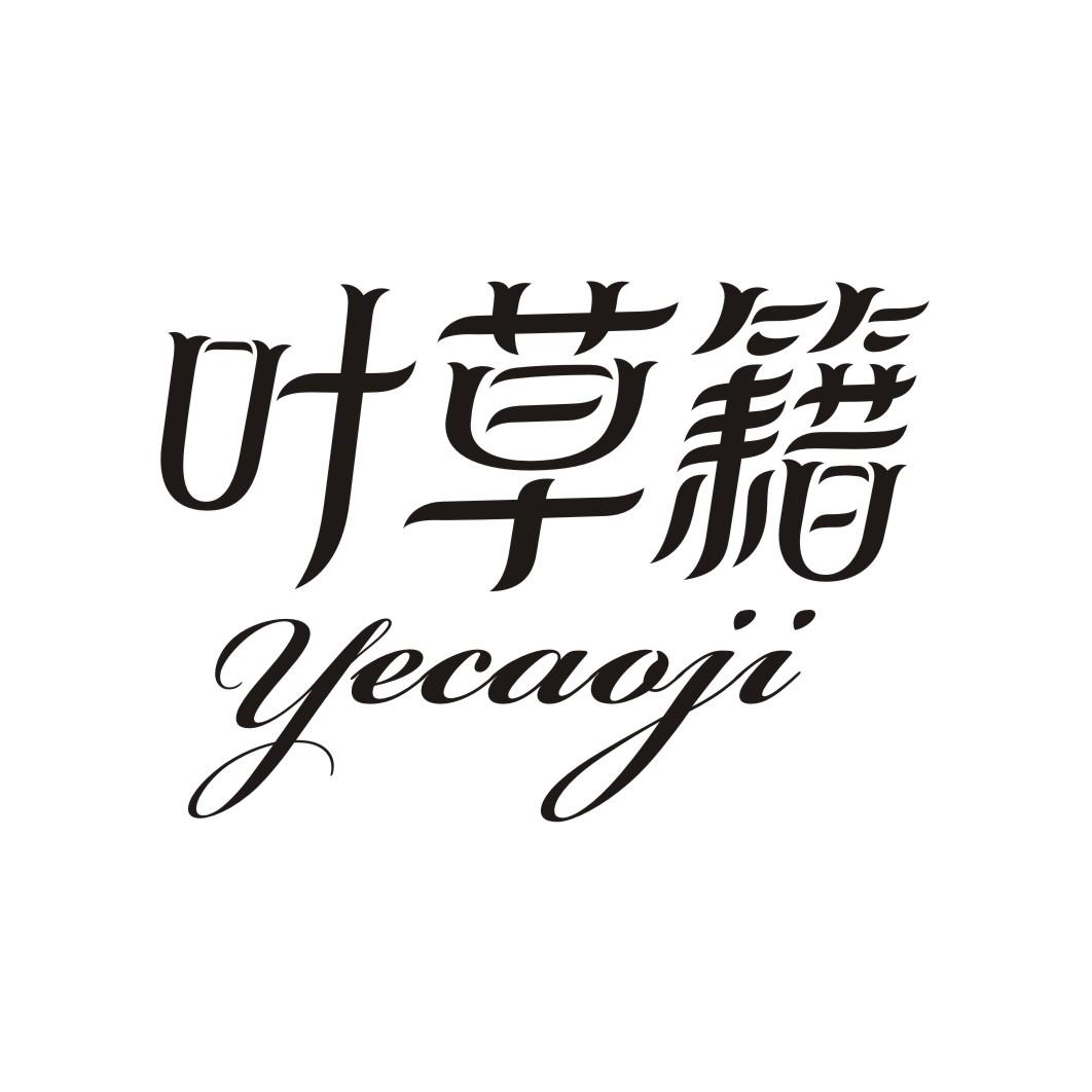 叶草籍
