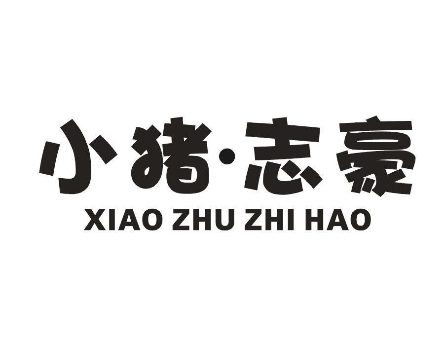 小猪·志豪