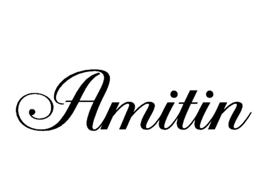 AMITIN