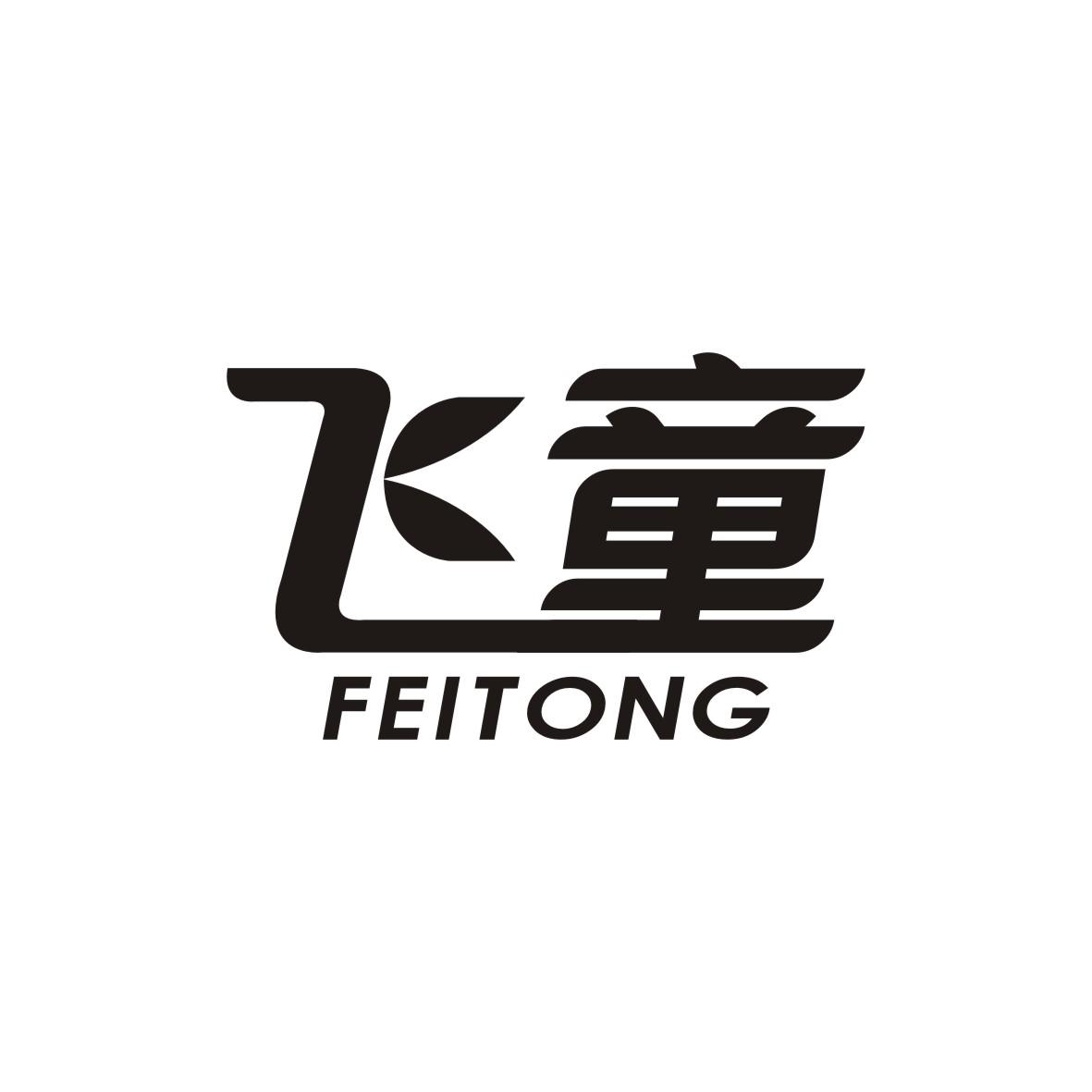 飞童   FEITONG