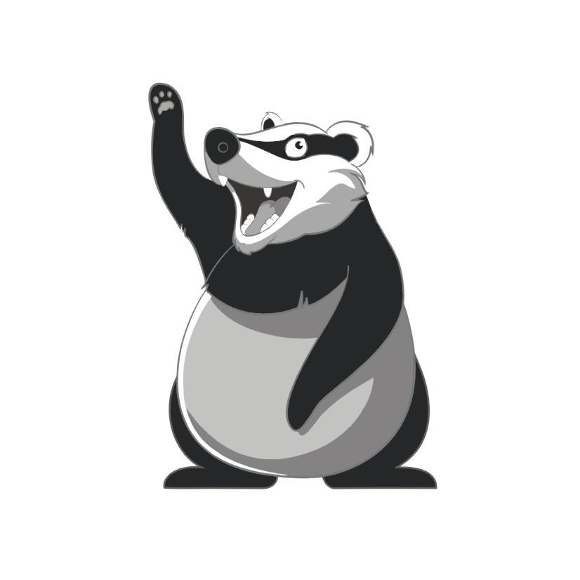 浣熊图形
