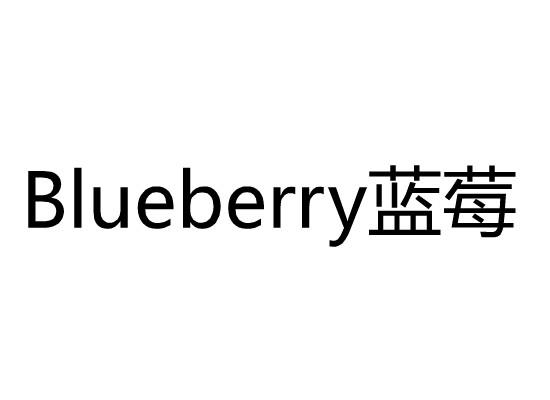 BLUEBERRY蓝莓