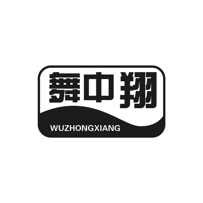 舞中翔+拼音