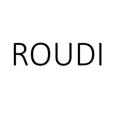 ROUDI