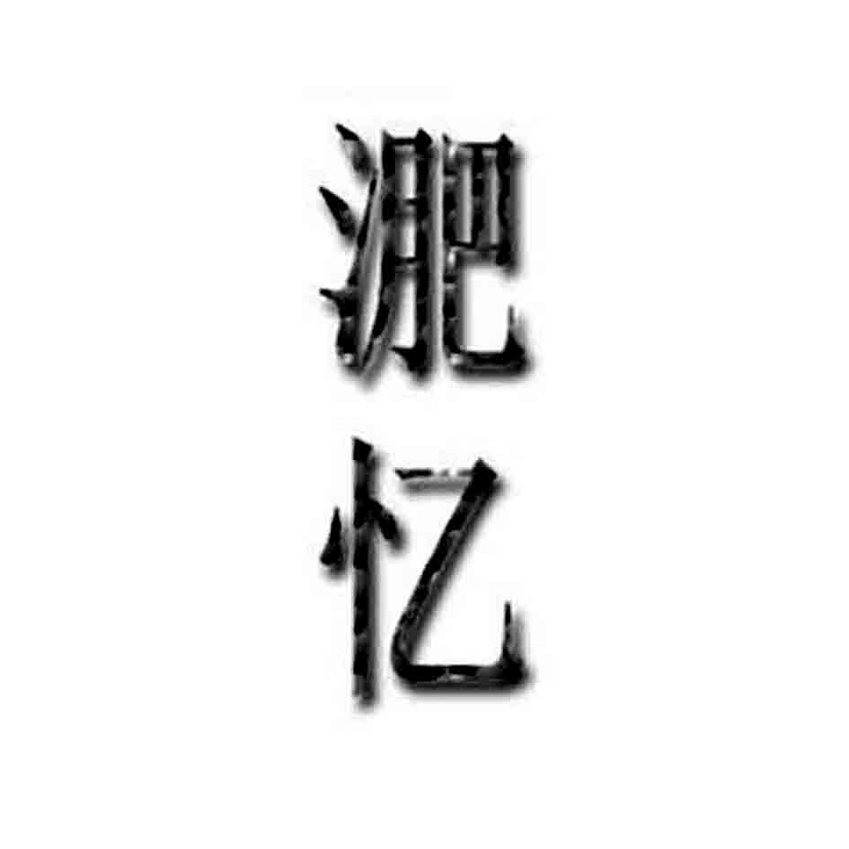 淝忆