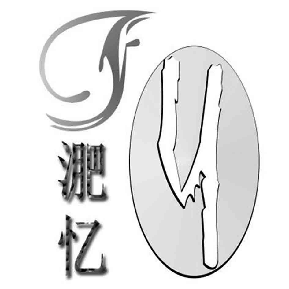 淝忆