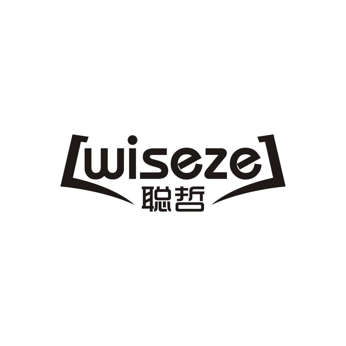 聪哲WISEZE