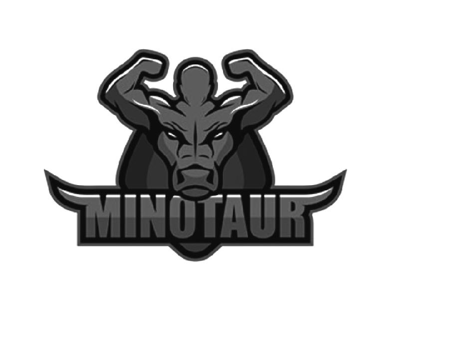 MINOTAUR