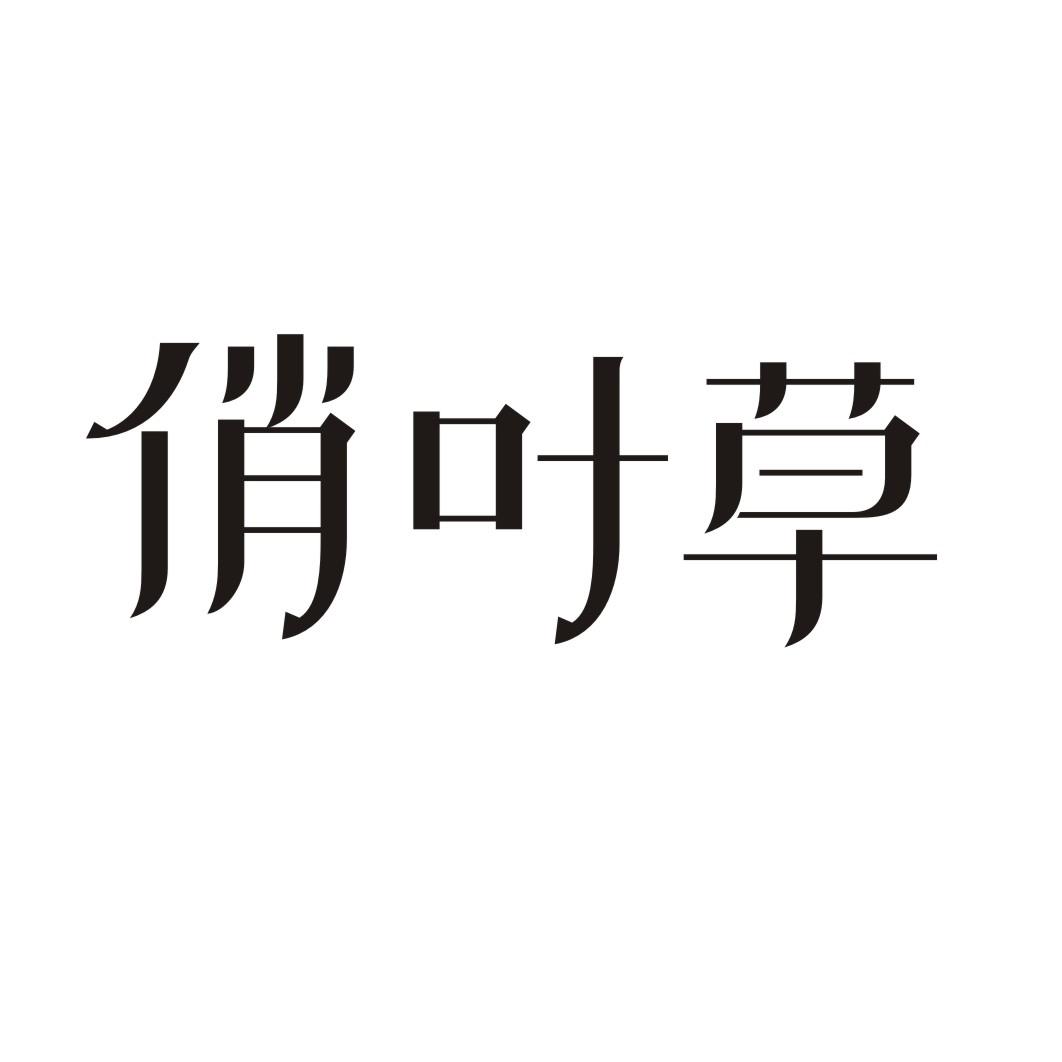 俏叶草