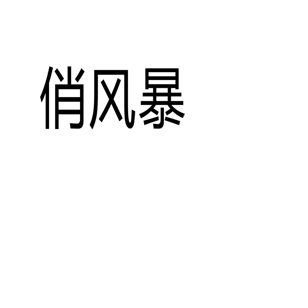 俏风暴