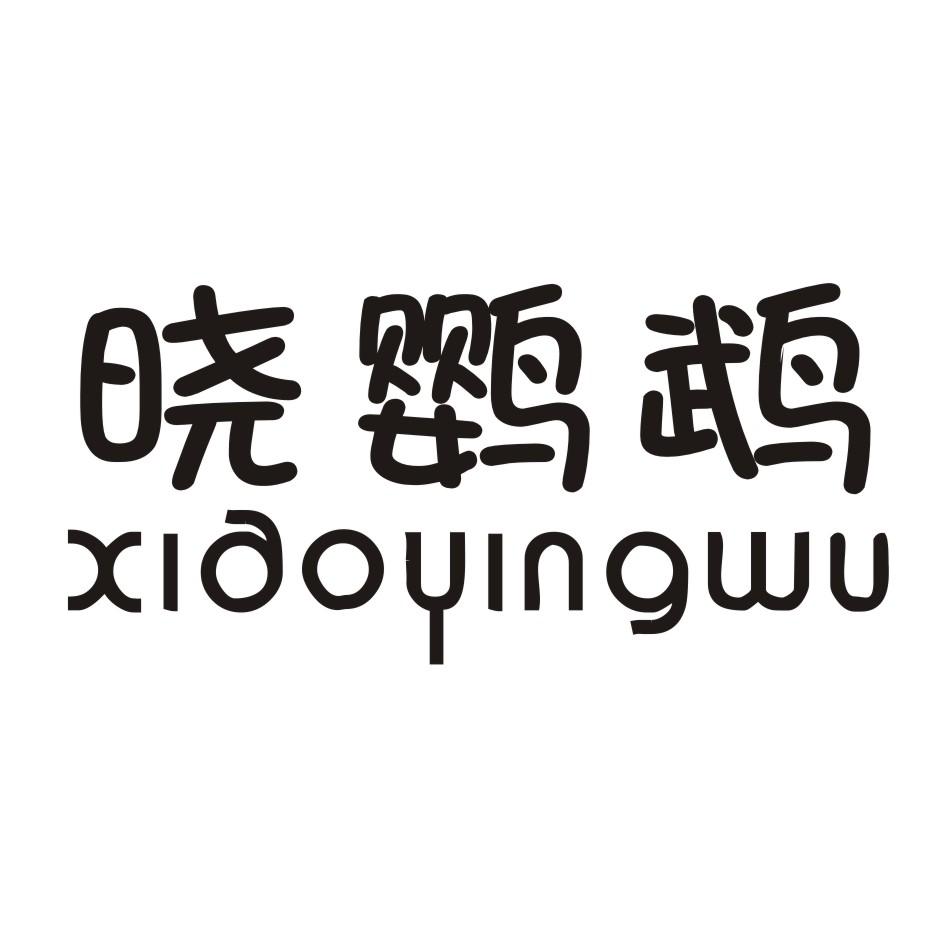晓鹦鹉 XIAOYINGWU