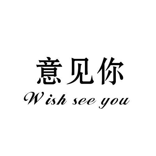 意见你 WISH SEE YOU