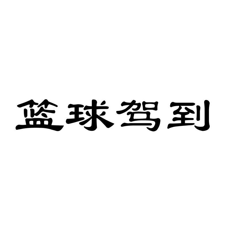 篮球驾到