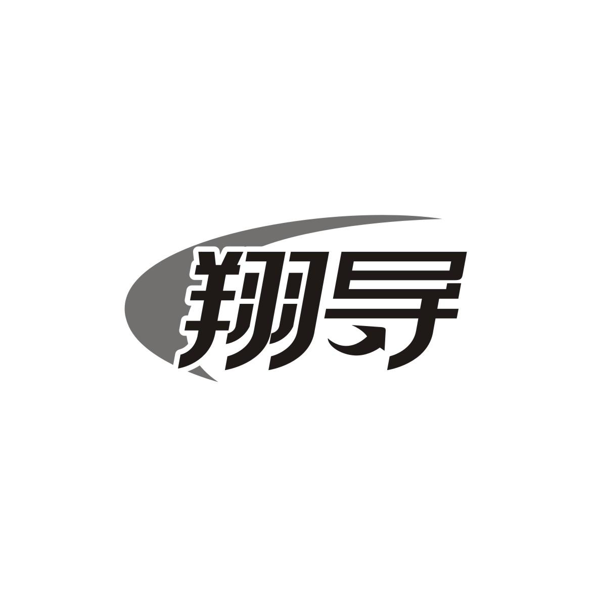 翔导