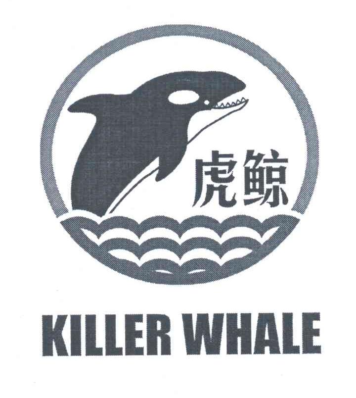 虎鲸;KILLER WHALE