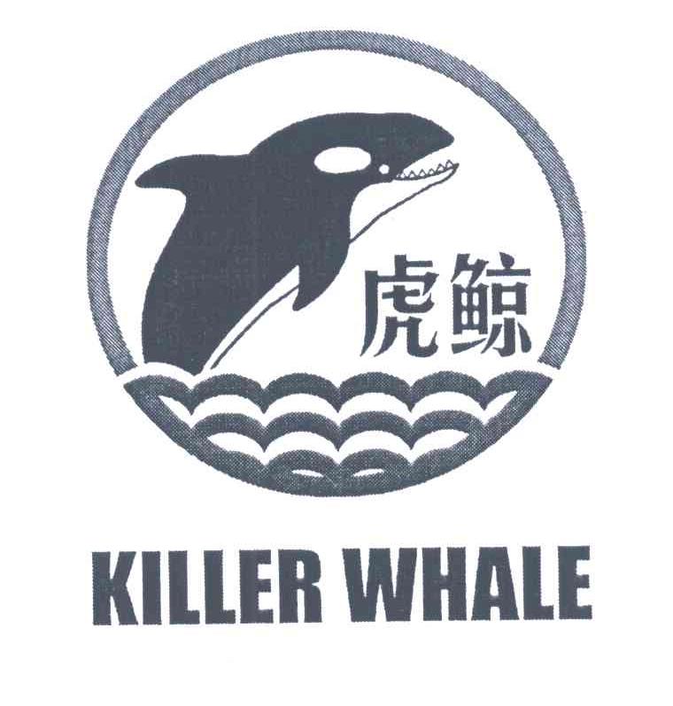虎鲸;KILLER WHALE