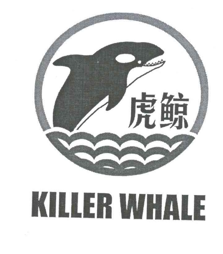 虎鲸;KILLER WHALE