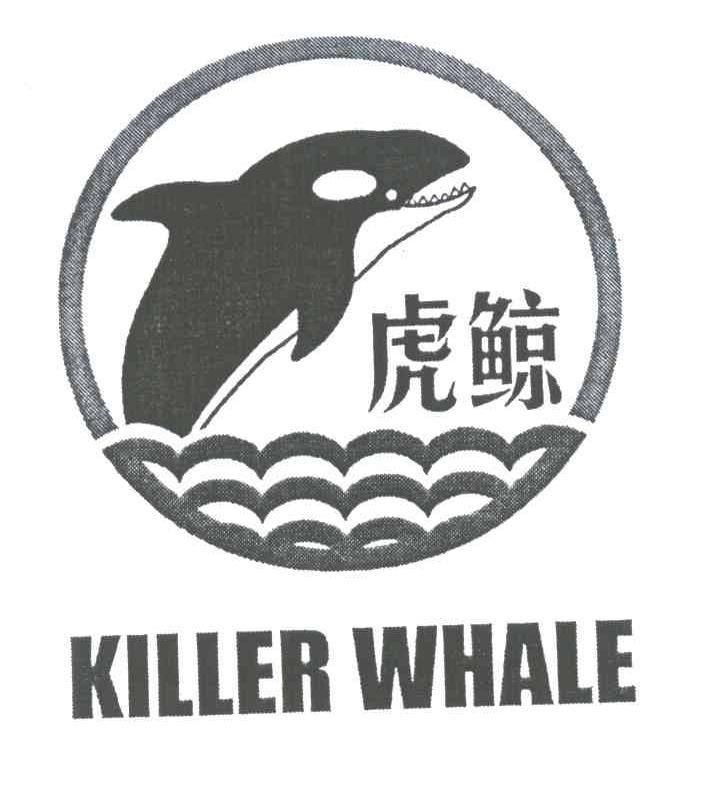 虎鲸;KILLER WHALE