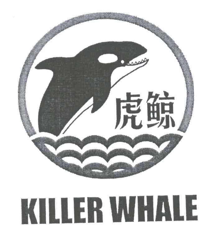 虎鲸;KILLER WHALE