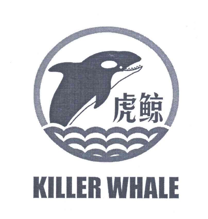 虎鲸;KILLER WHALE