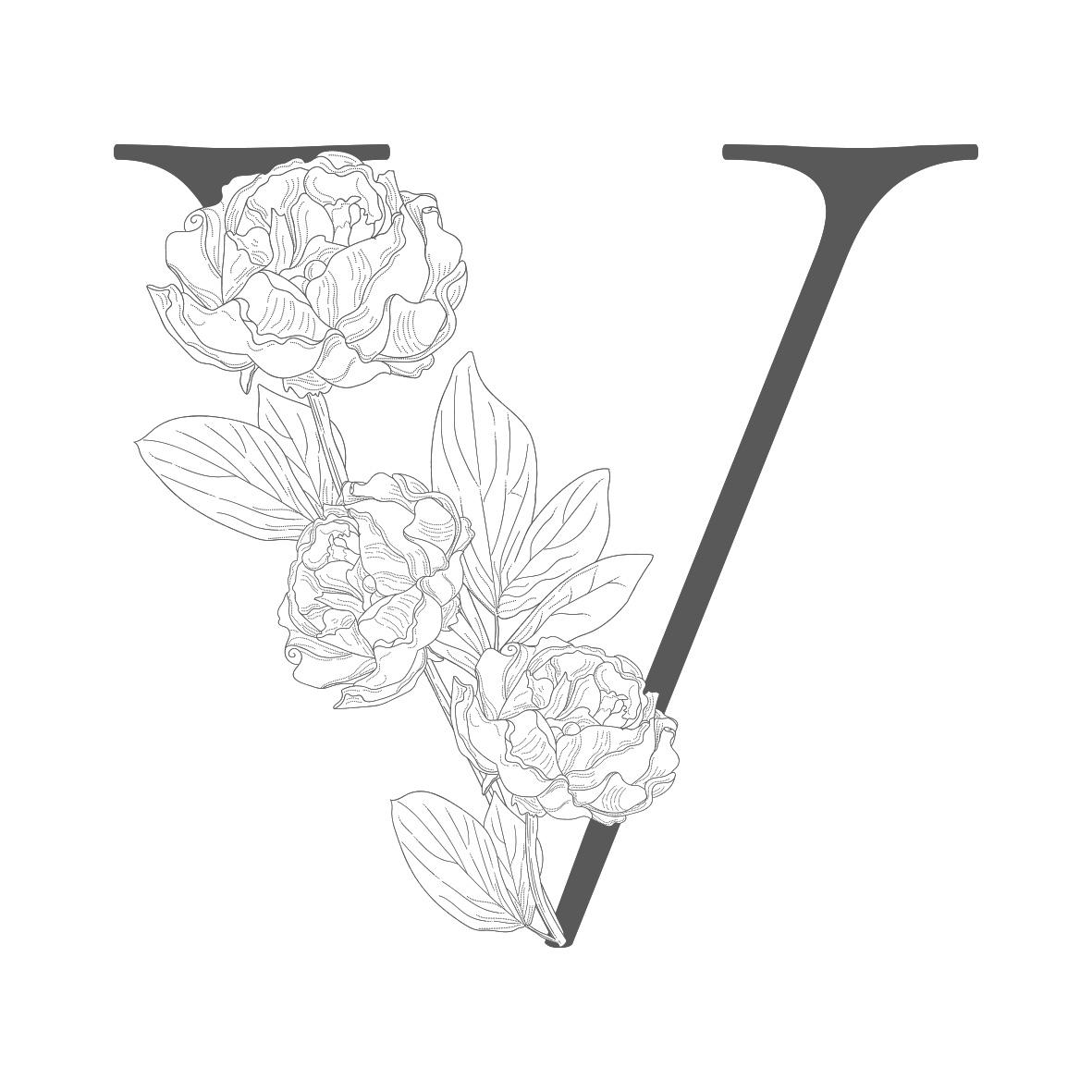 V