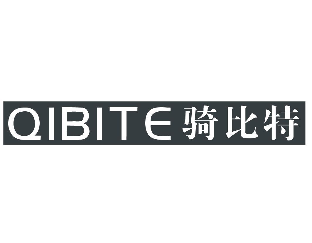 骑比特QIBITE