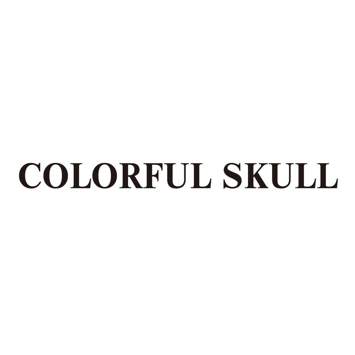 COLORFUL SKULL 