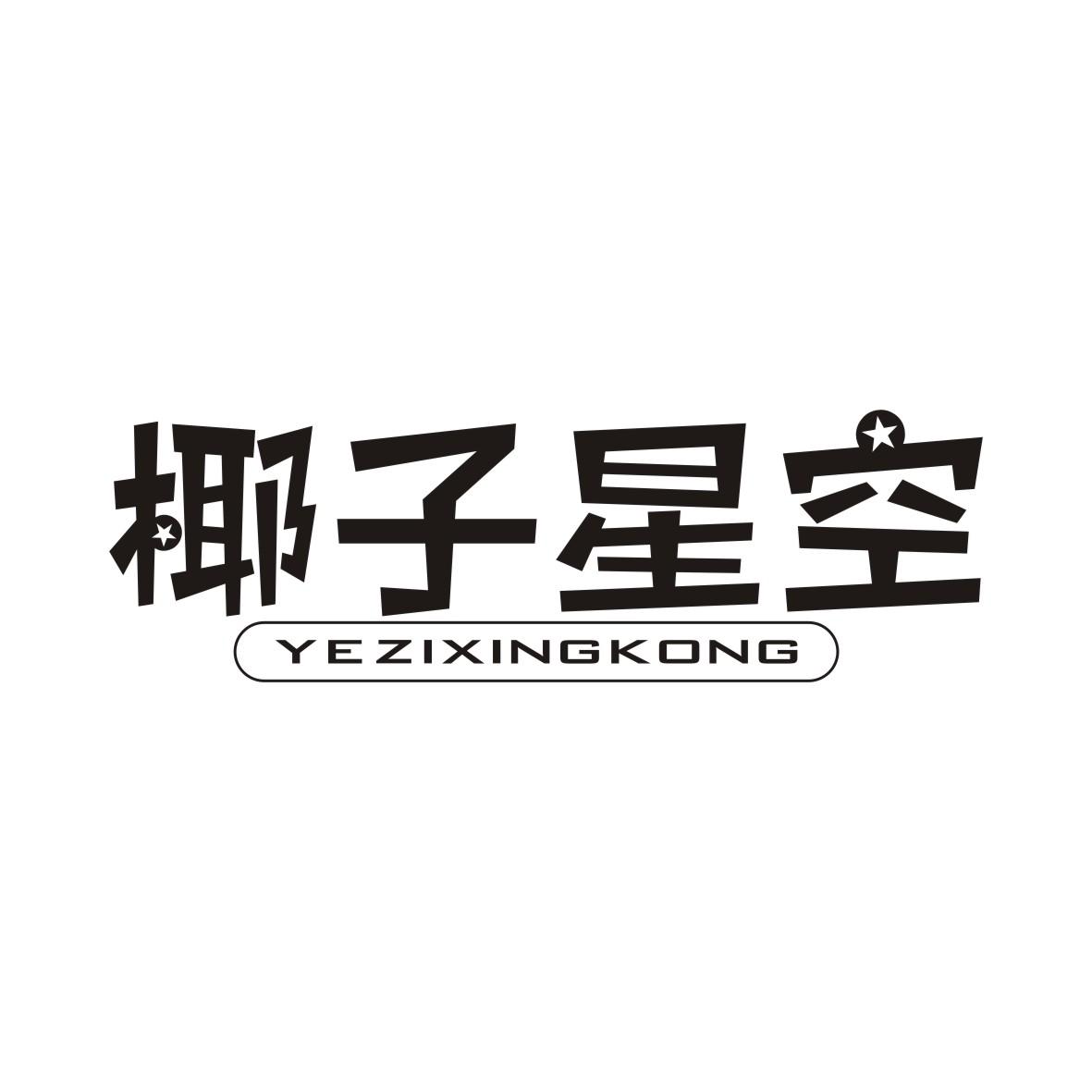 椰子星空
