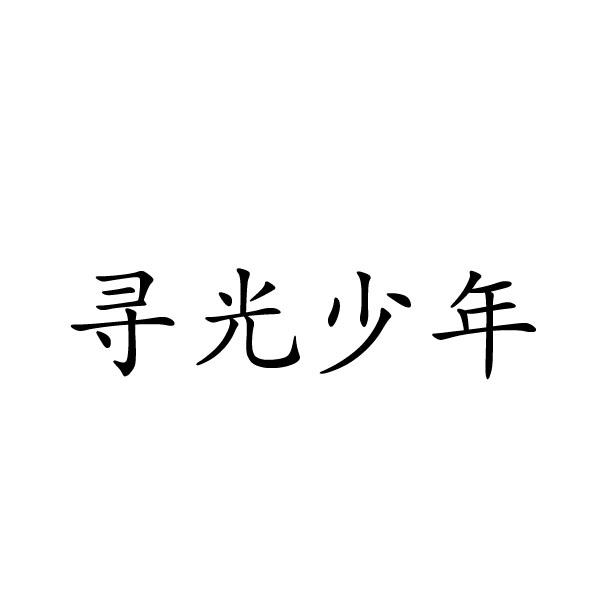 寻光少年