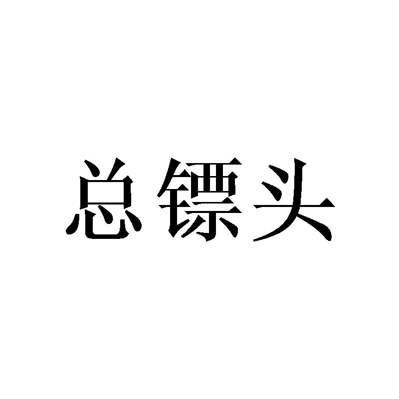 总镖头